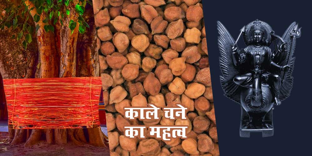 Shani Jayanti Vat Savitri Vrat Kaale Chane Ka Mahatva